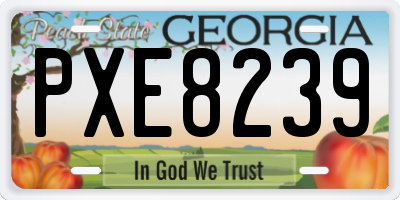 GA license plate PXE8239