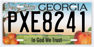 GA license plate PXE8241