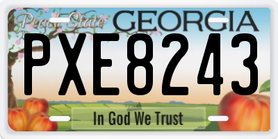 GA license plate PXE8243