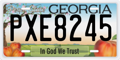 GA license plate PXE8245