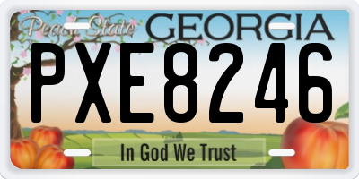 GA license plate PXE8246