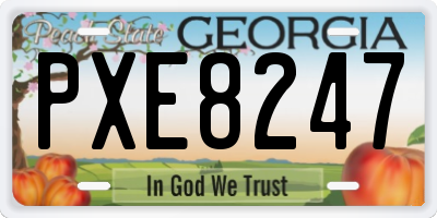 GA license plate PXE8247