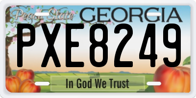 GA license plate PXE8249