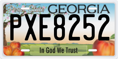 GA license plate PXE8252
