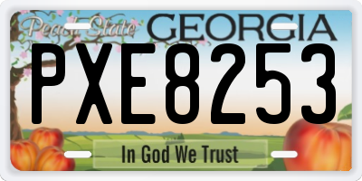 GA license plate PXE8253