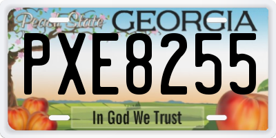 GA license plate PXE8255