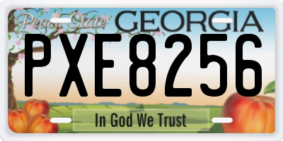 GA license plate PXE8256