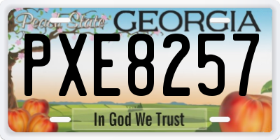 GA license plate PXE8257