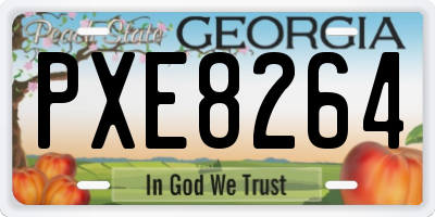 GA license plate PXE8264