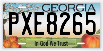 GA license plate PXE8265