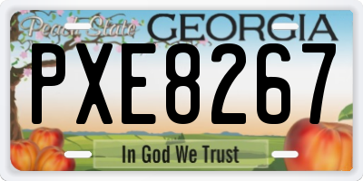GA license plate PXE8267