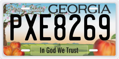GA license plate PXE8269