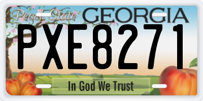 GA license plate PXE8271