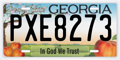 GA license plate PXE8273