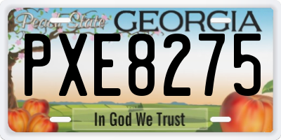 GA license plate PXE8275