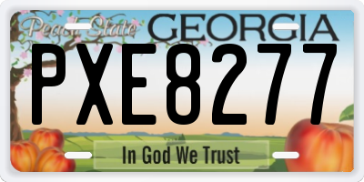 GA license plate PXE8277