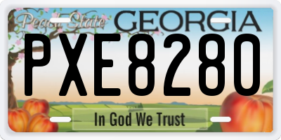 GA license plate PXE8280