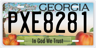 GA license plate PXE8281