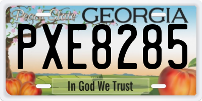 GA license plate PXE8285