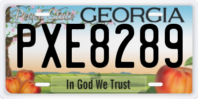 GA license plate PXE8289