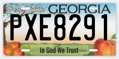 GA license plate PXE8291