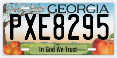 GA license plate PXE8295