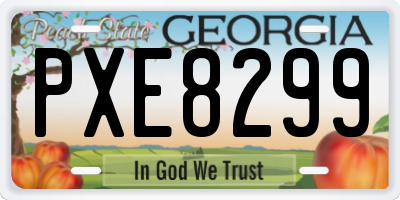 GA license plate PXE8299