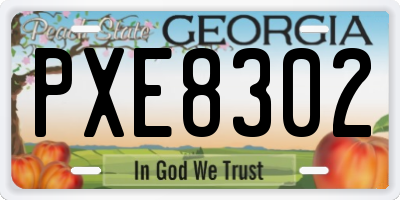 GA license plate PXE8302