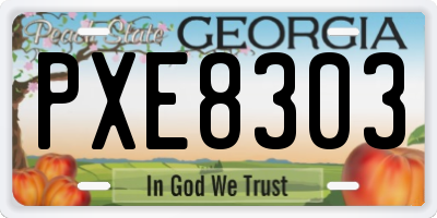 GA license plate PXE8303