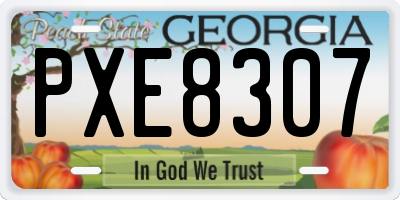GA license plate PXE8307