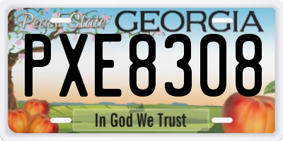 GA license plate PXE8308