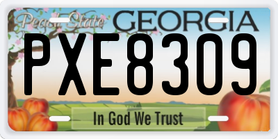GA license plate PXE8309