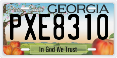 GA license plate PXE8310