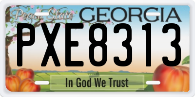 GA license plate PXE8313