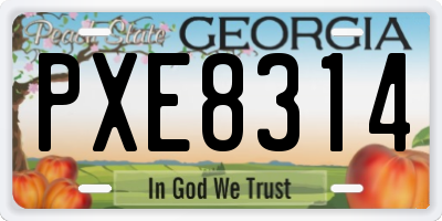 GA license plate PXE8314