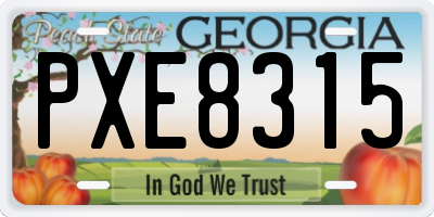 GA license plate PXE8315