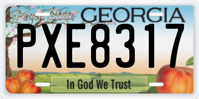 GA license plate PXE8317