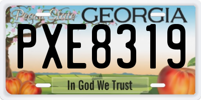 GA license plate PXE8319