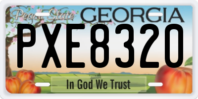 GA license plate PXE8320