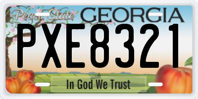 GA license plate PXE8321