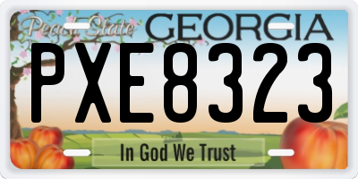 GA license plate PXE8323