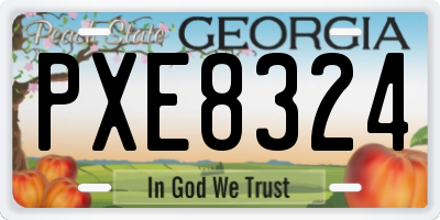 GA license plate PXE8324