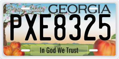 GA license plate PXE8325