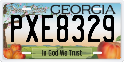 GA license plate PXE8329