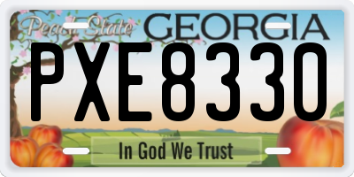 GA license plate PXE8330