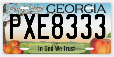 GA license plate PXE8333