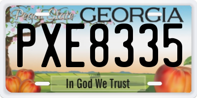GA license plate PXE8335