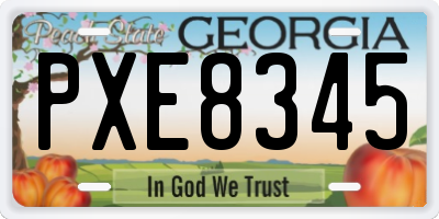 GA license plate PXE8345