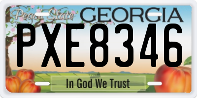 GA license plate PXE8346