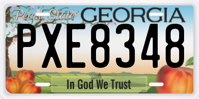 GA license plate PXE8348
